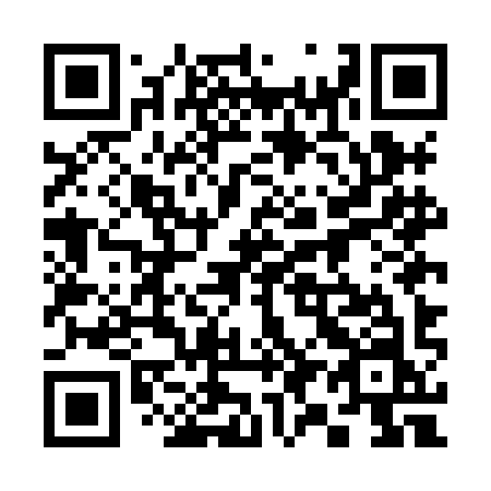 QR code for 395HIN
