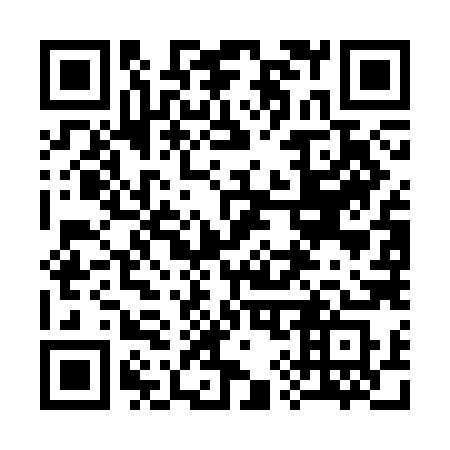 QR code for 397-CHS