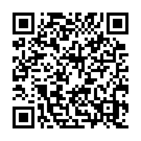 QR code for 397-CRZ