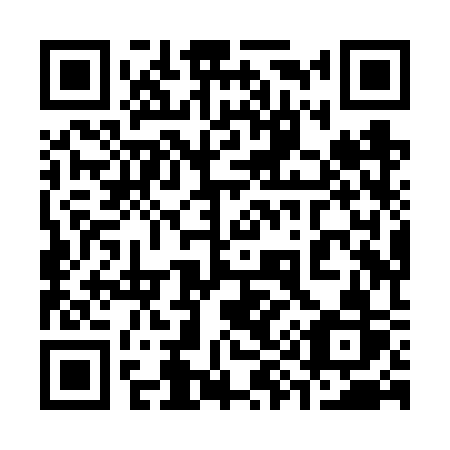 QR code for plate 398-VSR