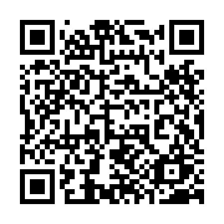 QR code for plate 399-LKW