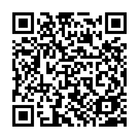 QR code for plate 399-MAE