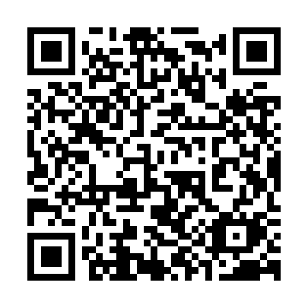 QR code for 399ZSM