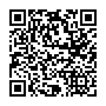QR code for plate 3B0-9V6