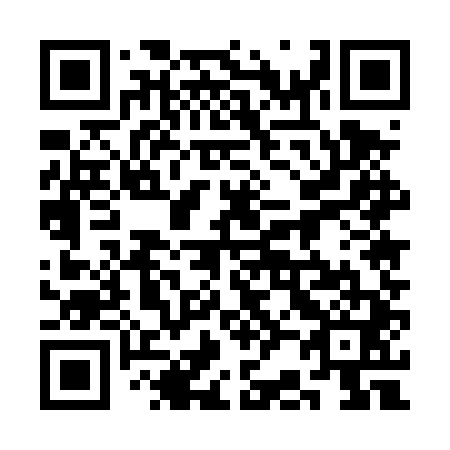 QR code for plate 3B5-4T1