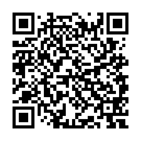 QR code for plate 3B6-7I8