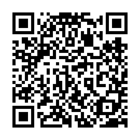 QR code for plate 3E3-6M9