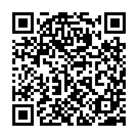 QR code for plate 3E5-3H3
