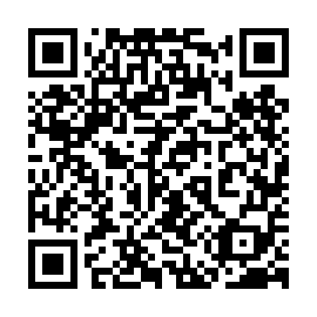QR code for plate 3E6-4E9