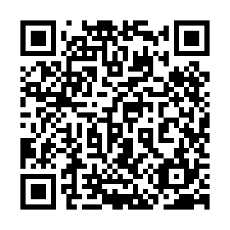 QR code for plate 3E9-0K4