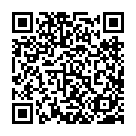QR code for plate 3G0-2J1