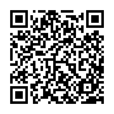 QR code for plate 3G0-4Z7