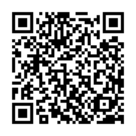 QR code for plate 3G0-5V8