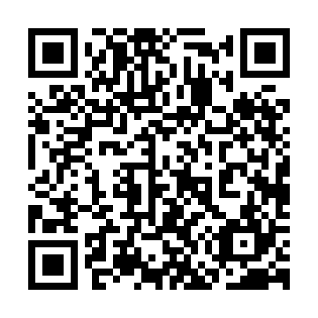 QR code for plate 3G0-8B4