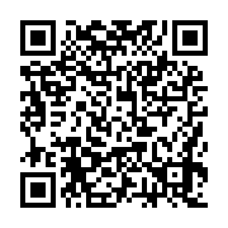 QR code for plate 3G0-9G8
