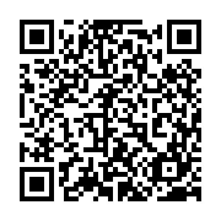 QR code for plate 3G5-0V4