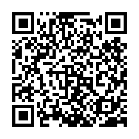 QR code for plate 3G5-4C1