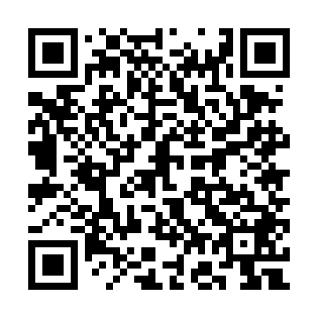 QR code for plate 3G5-4D8