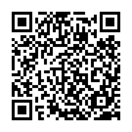 QR code for plate 3G6-4E4
