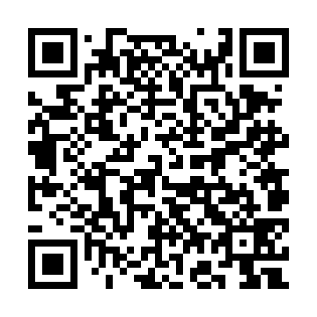 QR code for plate 3G6-4K9