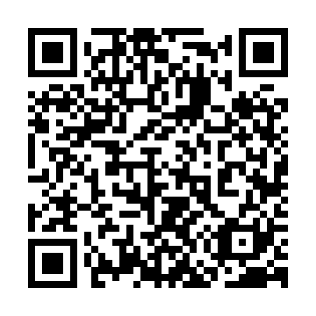 QR code for plate 3G6-8R1