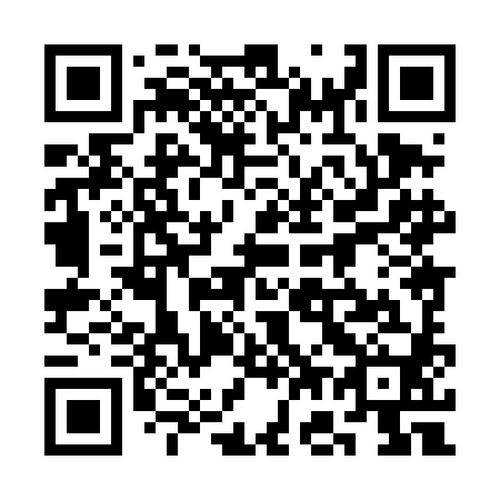 QR code for plate 3G8-4H0