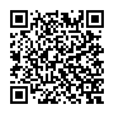 QR code for plate 3H3-0O6