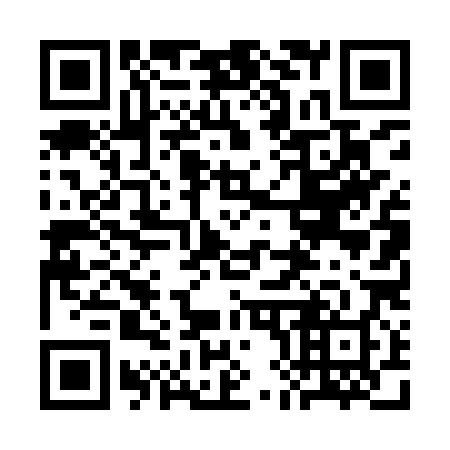 QR code for plate 3H4-9X8