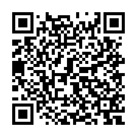 QR code for plate 3L0-5U1