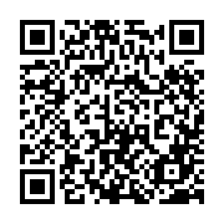 QR code for plate 3M6-8N6