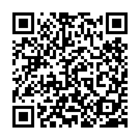 QR code for plate 3N3-4E9
