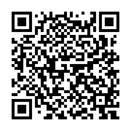 QR code for plate 3N3-9H0