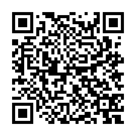 QR code for 3N51C4