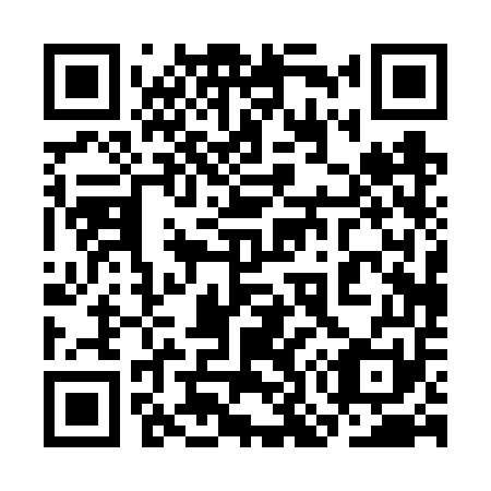 QR code for plate 3O0-6U1