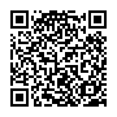 QR code for plate 3O3-0B5