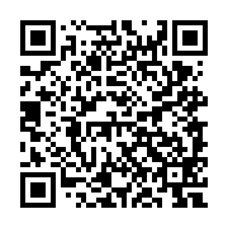 QR code for plate 3O4-6I9