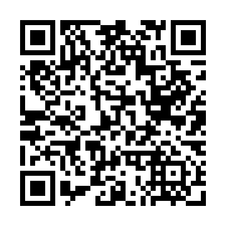 QR code for plate 3O6-4M1