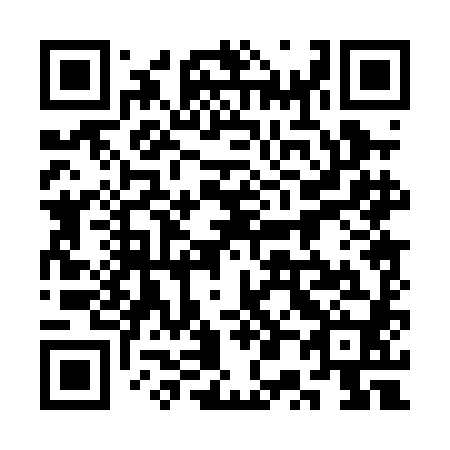 QR code for 3P00H0