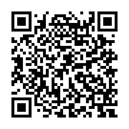 QR code for plate 3P1-0I6