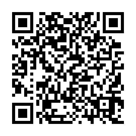 QR code for 3P13Q2