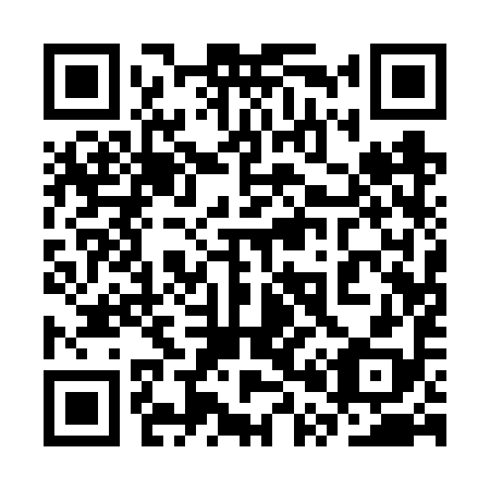 QR code for plate 3P1-6Y8