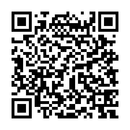 QR code for plate 3P4-0G8