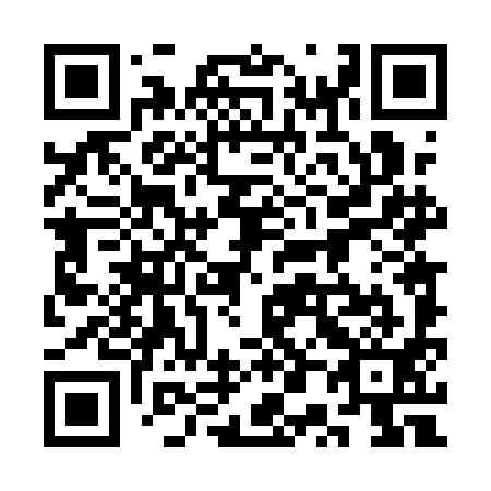 QR code for plate 3P4-1I1