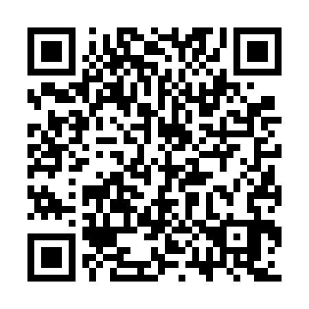 QR code for 3P66C3