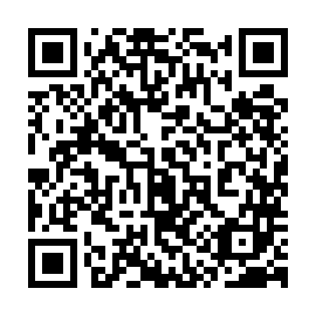 QR code for 3Q95L3