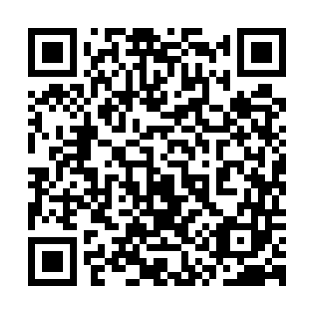 QR code for 3Q95T3