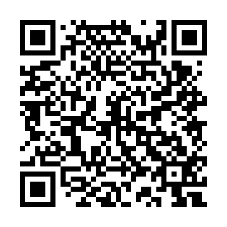 QR code for plate 3S0-6Q3