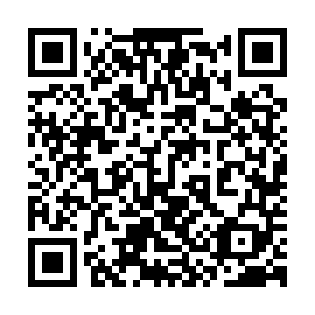 QR code for plate 3S6-1T9