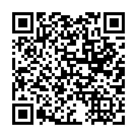 QR code for plate 3T4-4O1