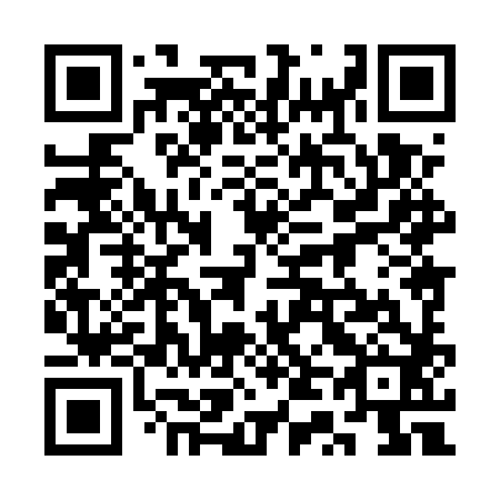 QR code for plate 3T8-5X2